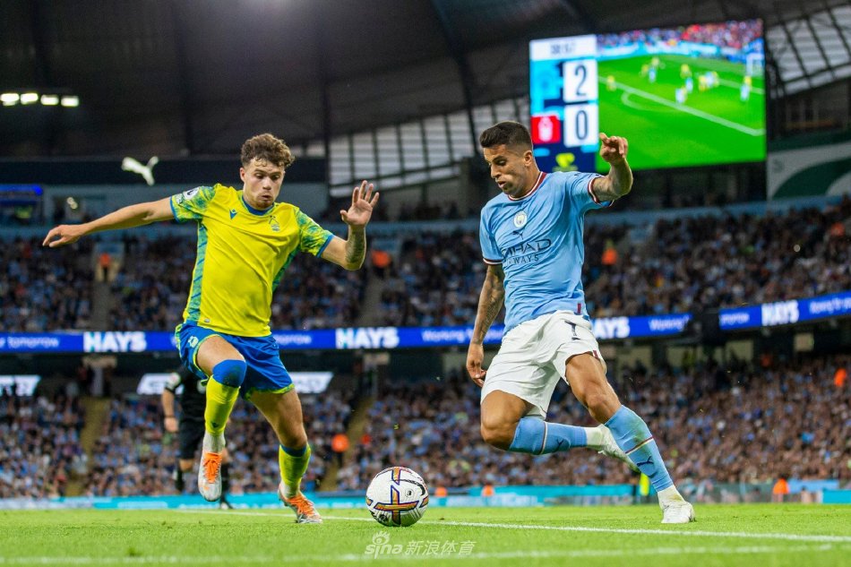 这不仅是她 这不仅是她